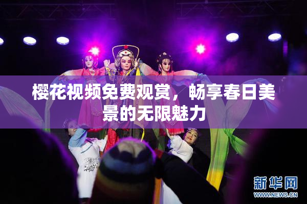 樱花视频免费观赏，畅享春日美景的无限魅力