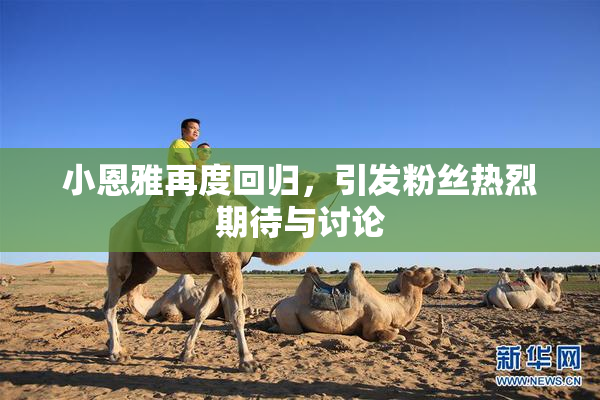 小恩雅再度回归，引发粉丝热烈期待与讨论