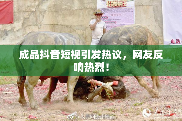成品抖音短视引发热议，网友反响热烈！