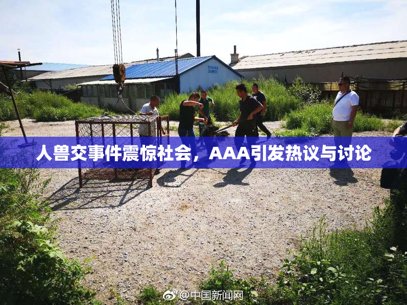 人兽交事件震惊社会，AAA引发热议与讨论