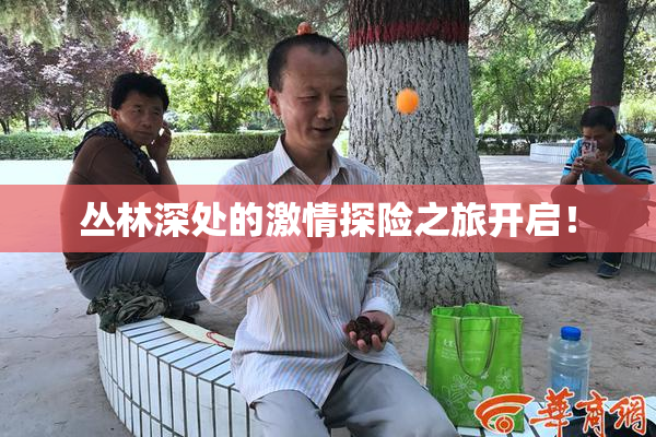 丛林深处的激情探险之旅开启！