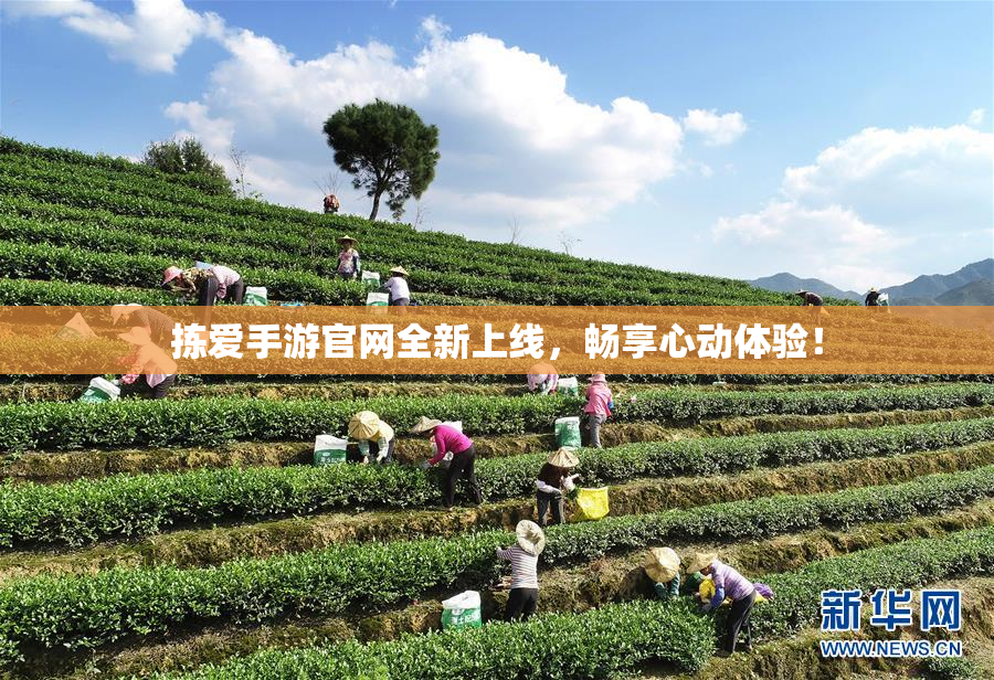 拣爱手游官网全新上线，畅享心动体验！