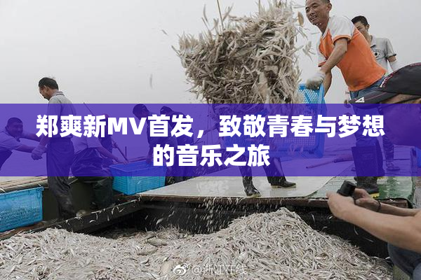 郑爽新MV首发，致敬青春与梦想的音乐之旅