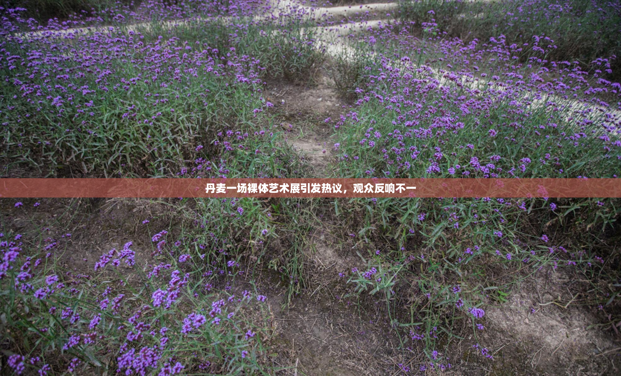 丹麦一场裸体艺术展引发热议，观众反响不一