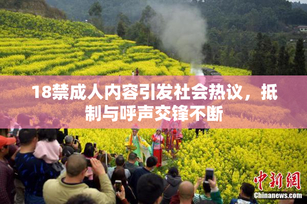 18禁成人内容引发社会热议，抵制与呼声交锋不断