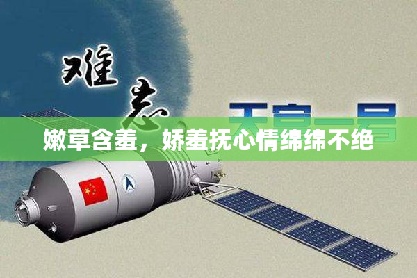 嫩草含羞，娇羞抚心情绵绵不绝