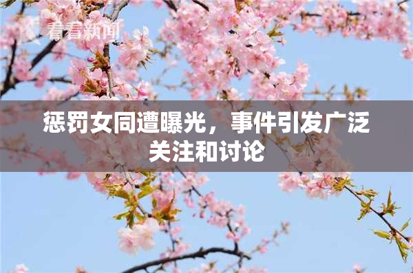 惩罚女同遭曝光，事件引发广泛关注和讨论