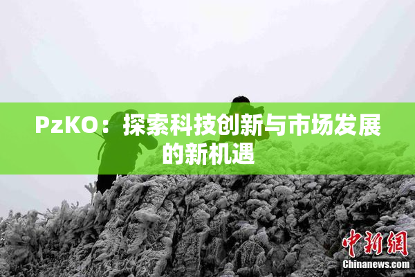 PzKO：探索科技创新与市场发展的新机遇