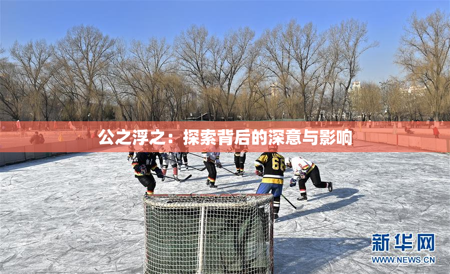 公之浮之：探索背后的深意与影响