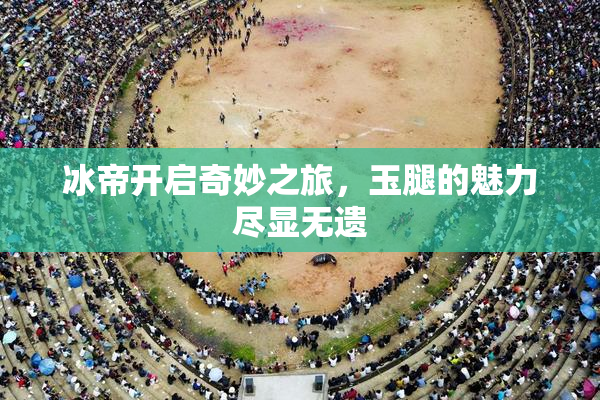冰帝开启奇妙之旅，玉腿的魅力尽显无遗