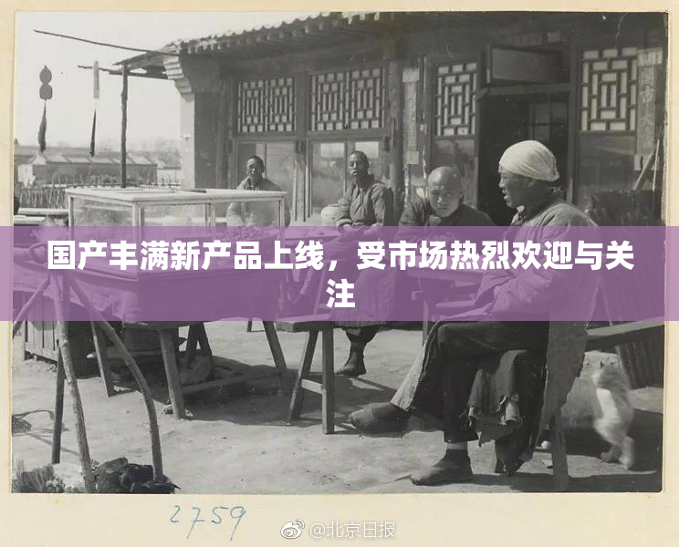 国产丰满新产品上线，受市场热烈欢迎与关注