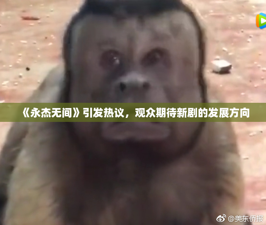 《永杰无间》引发热议，观众期待新剧的发展方向