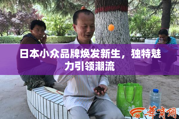 日本小众品牌焕发新生，独特魅力引领潮流