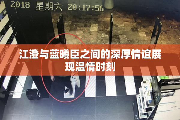 江澄与蓝曦臣之间的深厚情谊展现温情时刻