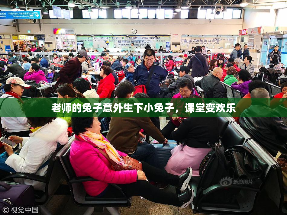 老师的兔子意外生下小兔子，课堂变欢乐