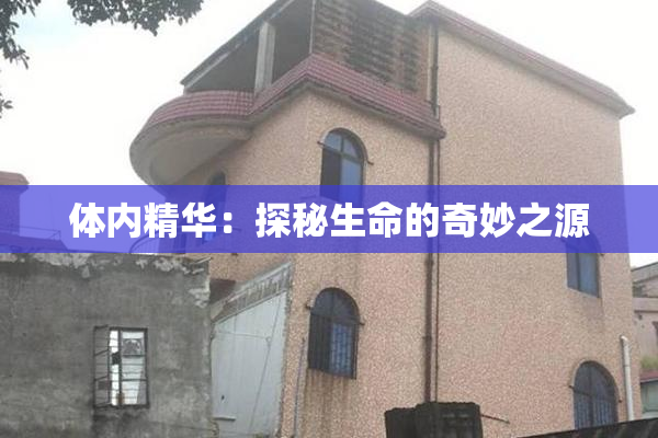 体内精华：探秘生命的奇妙之源