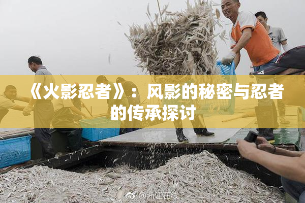 《火影忍者》：风影的秘密与忍者的传承探讨