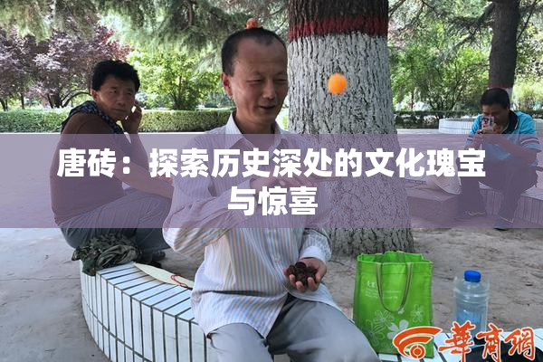 唐砖：探索历史深处的文化瑰宝与惊喜