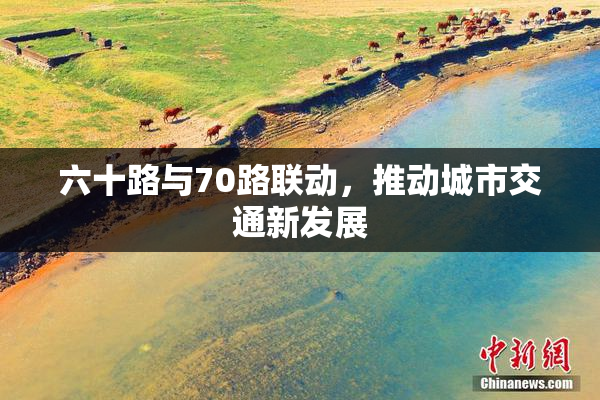 六十路与70路联动，推动城市交通新发展
