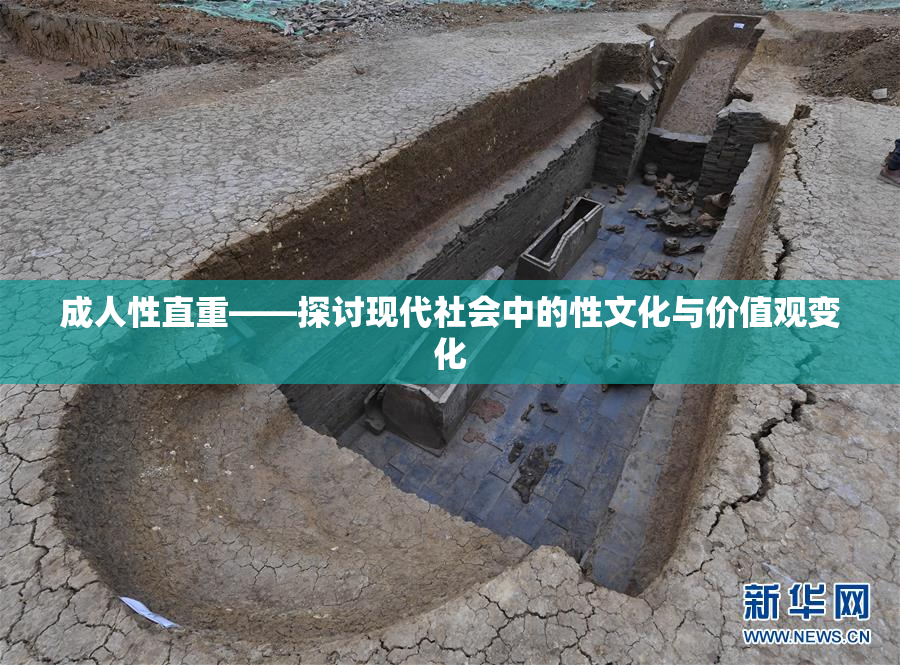 成人性直重——探讨现代社会中的性文化与价值观变化