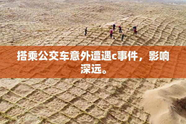 搭乘公交车意外遭遇c事件，影响深远。