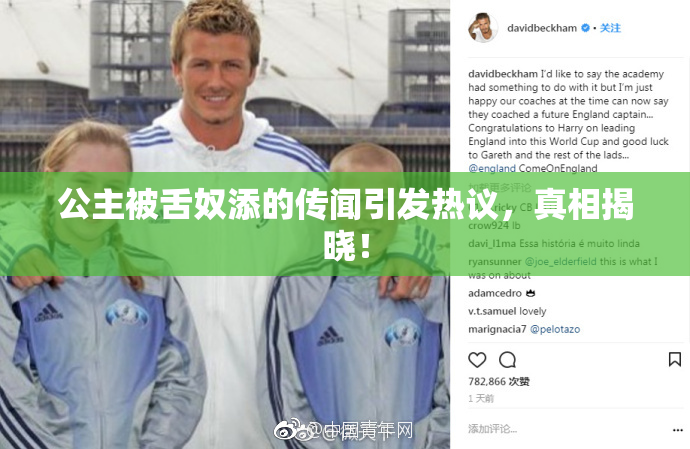 公主被舌奴添的传闻引发热议，真相揭晓！