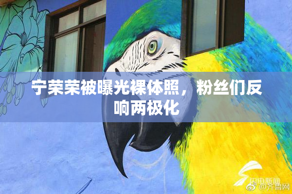 宁荣荣被曝光裸体照，粉丝们反响两极化