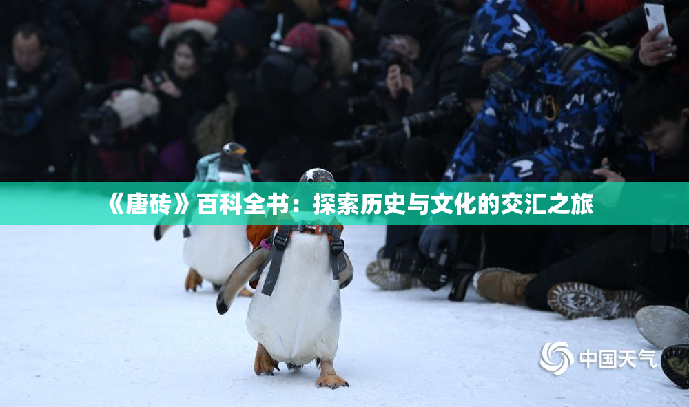 《唐砖》百科全书：探索历史与文化的交汇之旅