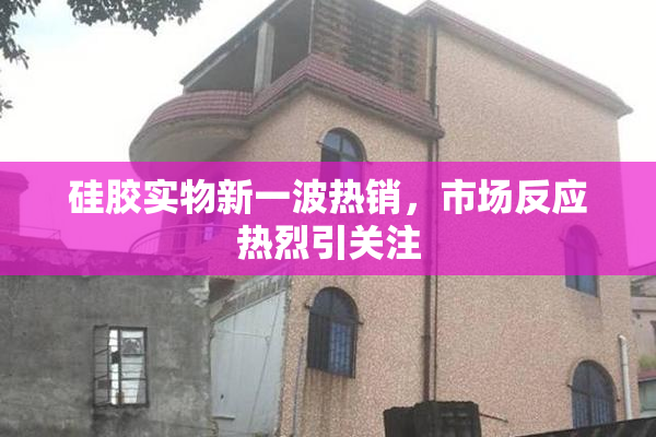 硅胶实物新一波热销，市场反应热烈引关注