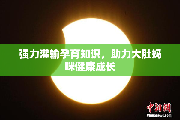 强力灌输孕育知识，助力大肚妈咪健康成长
