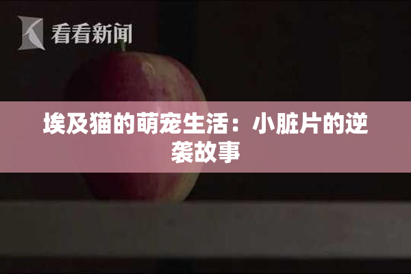 埃及猫的萌宠生活：小脏片的逆袭故事