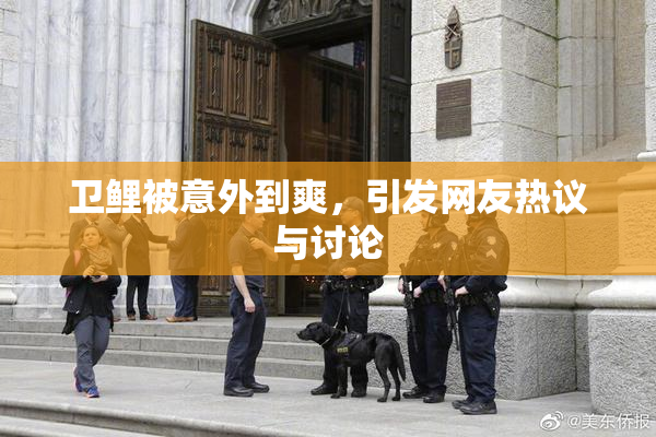 卫鲤被意外到爽，引发网友热议与讨论