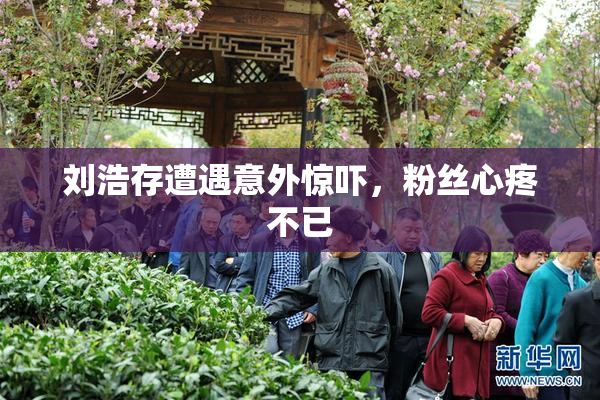 刘浩存遭遇意外惊吓，粉丝心疼不已