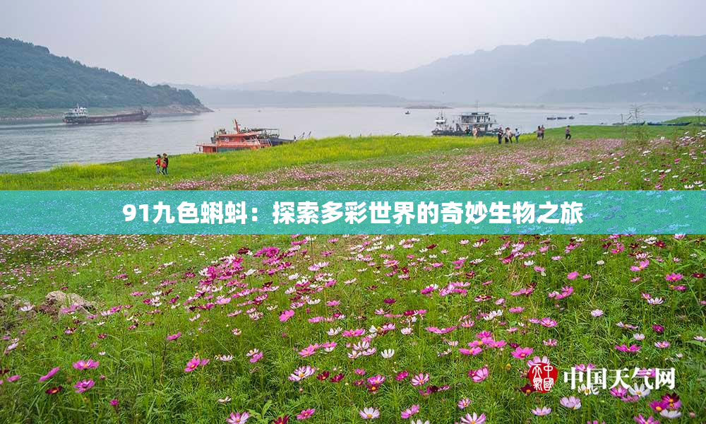 91九色蝌蚪：探索多彩世界的奇妙生物之旅