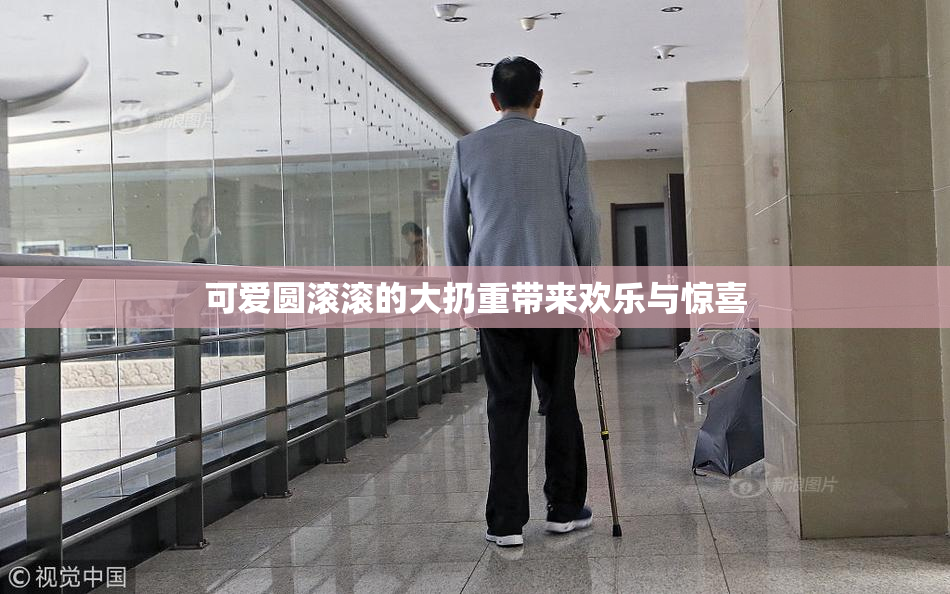 可爱圆滚滚的大扔重带来欢乐与惊喜