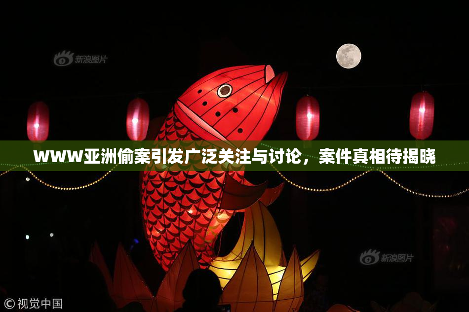 WWW亚洲偷案引发广泛关注与讨论，案件真相待揭晓