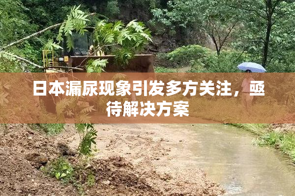 日本漏尿现象引发多方关注，亟待解决方案