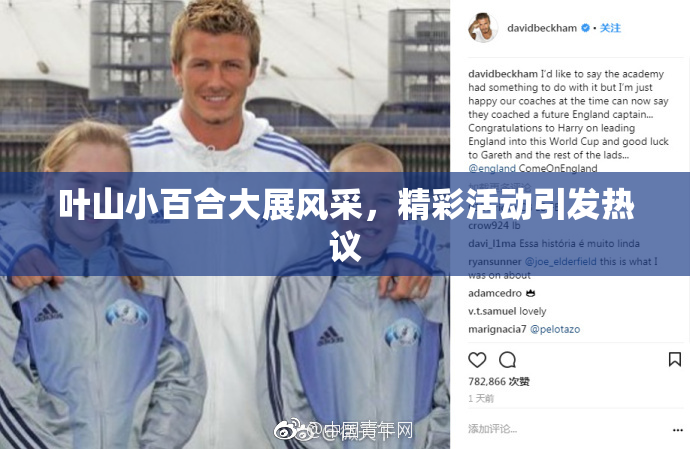 叶山小百合大展风采，精彩活动引发热议