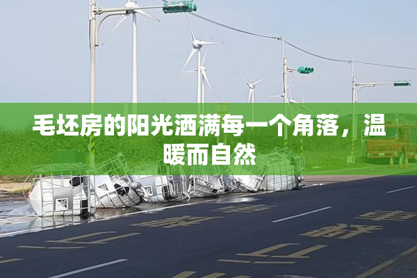毛坯房的阳光洒满每一个角落，温暖而自然
