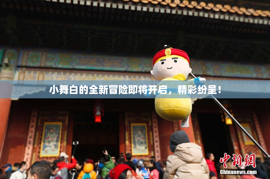 小舞白的全新冒险即将开启，精彩纷呈！