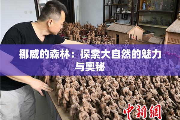 挪威的森林：探索大自然的魅力与奥秘
