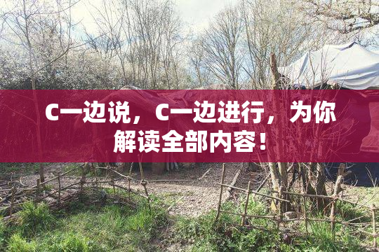 C一边说，C一边进行，为你解读全部内容！