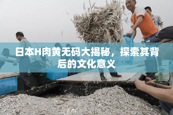 日本H肉黄无码大揭秘，探索其背后的文化意义