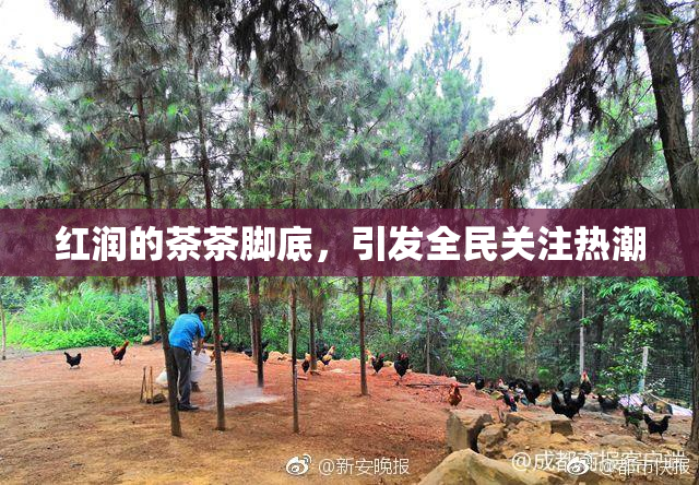 红润的茶茶脚底，引发全民关注热潮