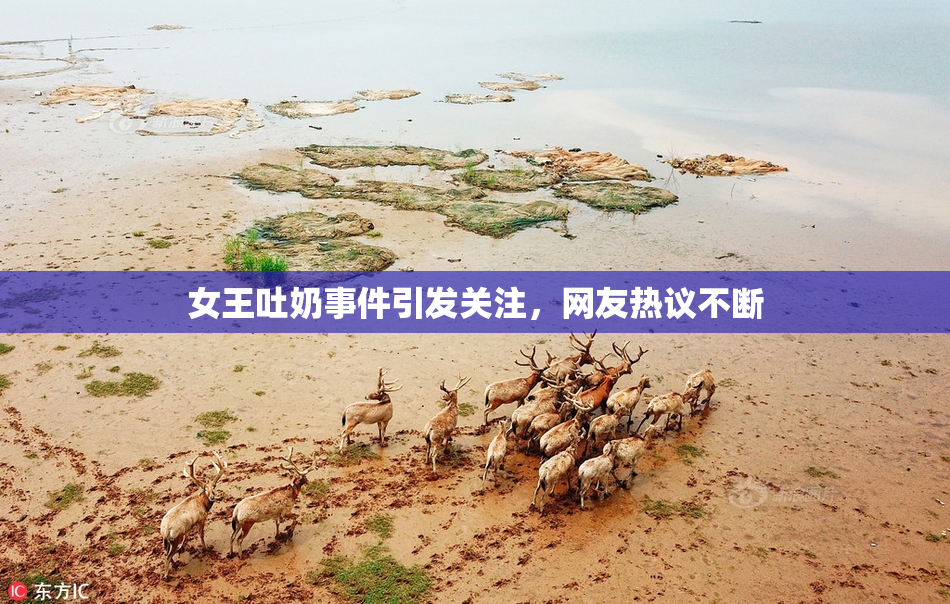 女王吐奶事件引发关注，网友热议不断