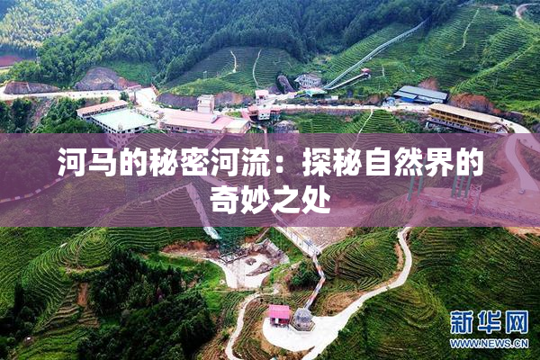 河马的秘密河流：探秘自然界的奇妙之处
