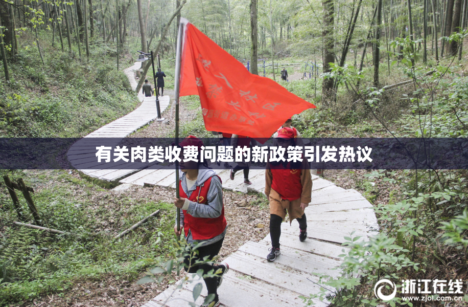有关肉类收费问题的新政策引发热议