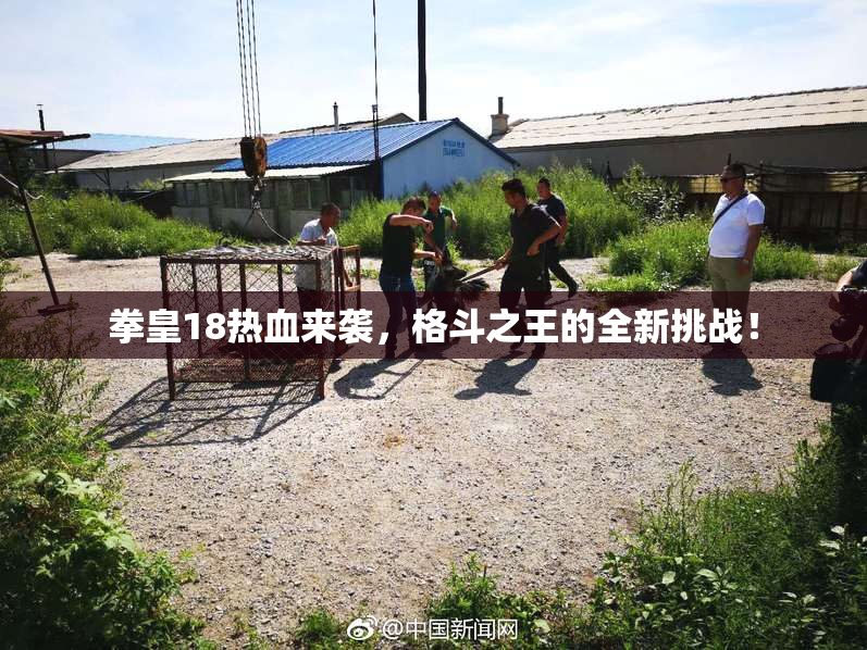 拳皇18热血来袭，格斗之王的全新挑战！