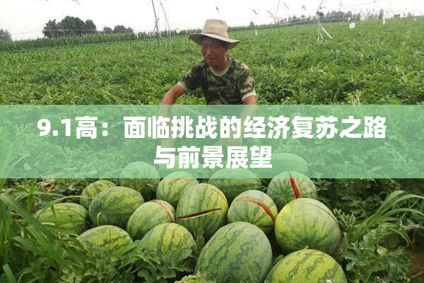 9.1高：面临挑战的经济复苏之路与前景展望