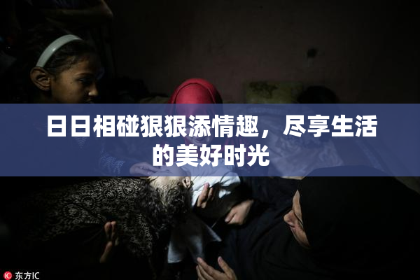 日日相碰狠狠添情趣，尽享生活的美好时光